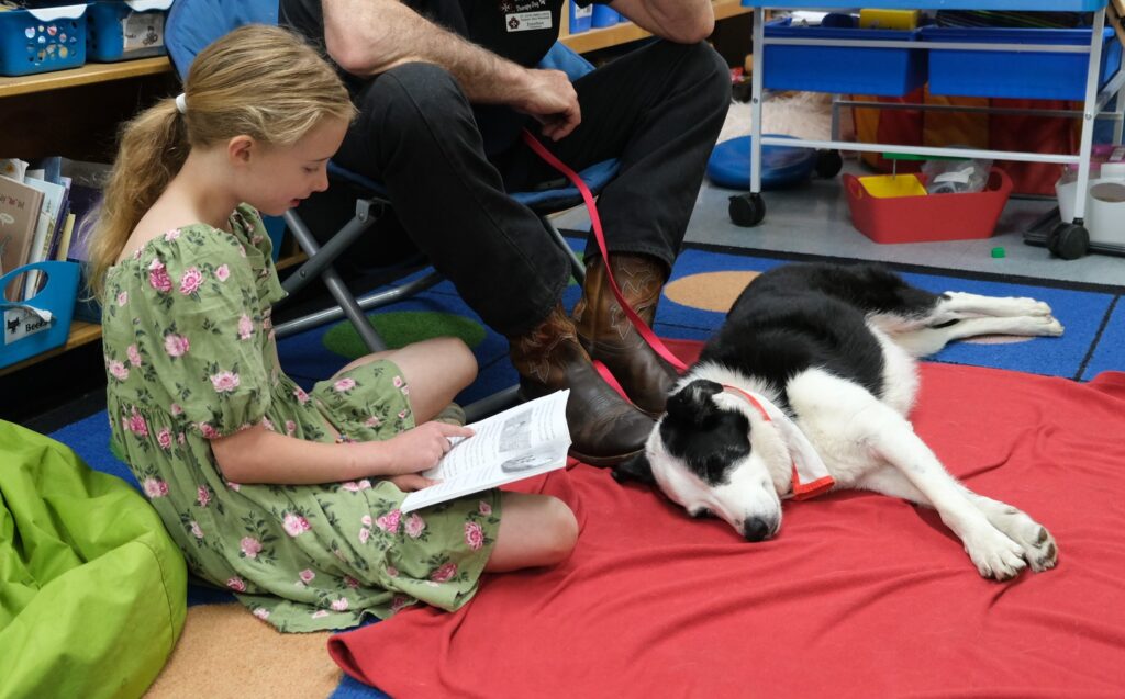 Winnie the Therapy Dog enjoys a nice relaxing story.